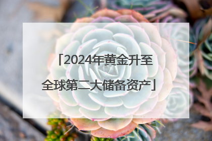 2024年黄金升至全球第二大储备资产