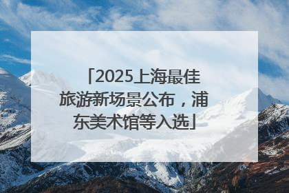 2025上海最佳旅游新场景公布，浦东美术馆等入选