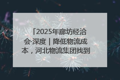 2025年廊坊经洽会·深度｜降低物流成本，河北物流集团找到一把“金钥匙”