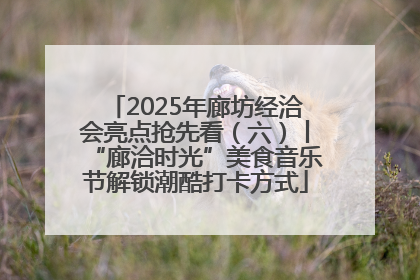 2025年廊坊经洽会亮点抢先看（六）丨“廊洽时光”美食音乐节解锁潮酷打卡方式