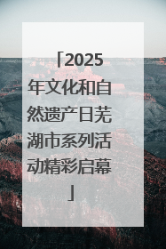 2025年文化和自然遗产日芜湖市系列活动精彩启幕