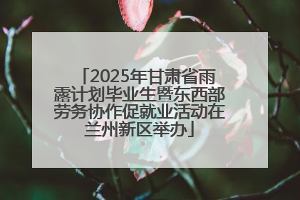 2025年甘肃省雨露计划毕业生暨东西部劳务协作促就业活动在兰州新区举办