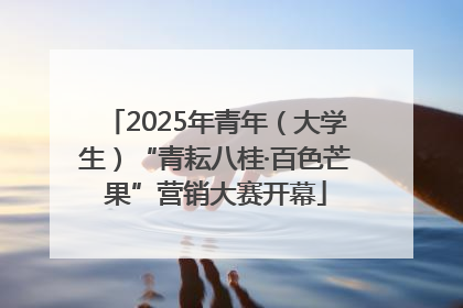2025年青年（大学生）“青耘八桂·百色芒果”营销大赛开幕