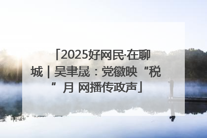 2025好网民·在聊城｜吴聿晟：党徽映“税”月 网播传政声