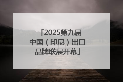 2025第九届中国（印尼）出口品牌联展开幕