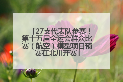 27支代表队参赛！第十五届全运会群众比赛（航空）模型项目预赛在北川开赛