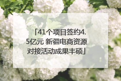 41个项目签约4.5亿元 新疆电商资源对接活动成果丰硕