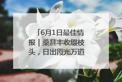 6月1日最佳情报｜桑葚丰收缀枝头，日出霞光万道蓬勃壮观！恭喜