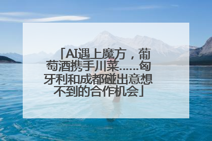 AI遇上魔方，葡萄酒携手川菜……匈牙利和成都碰出意想不到的合作机会