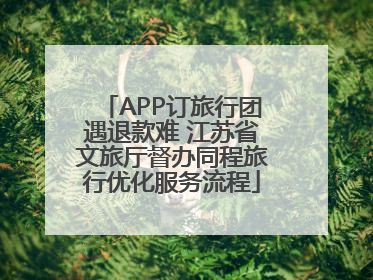 APP订旅行团遇退款难 江苏省文旅厅督办同程旅行优化服务流程