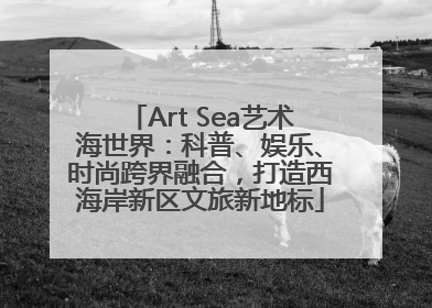 Art Sea艺术海世界：科普、娱乐、时尚跨界融合，打造西海岸新区文旅新地标